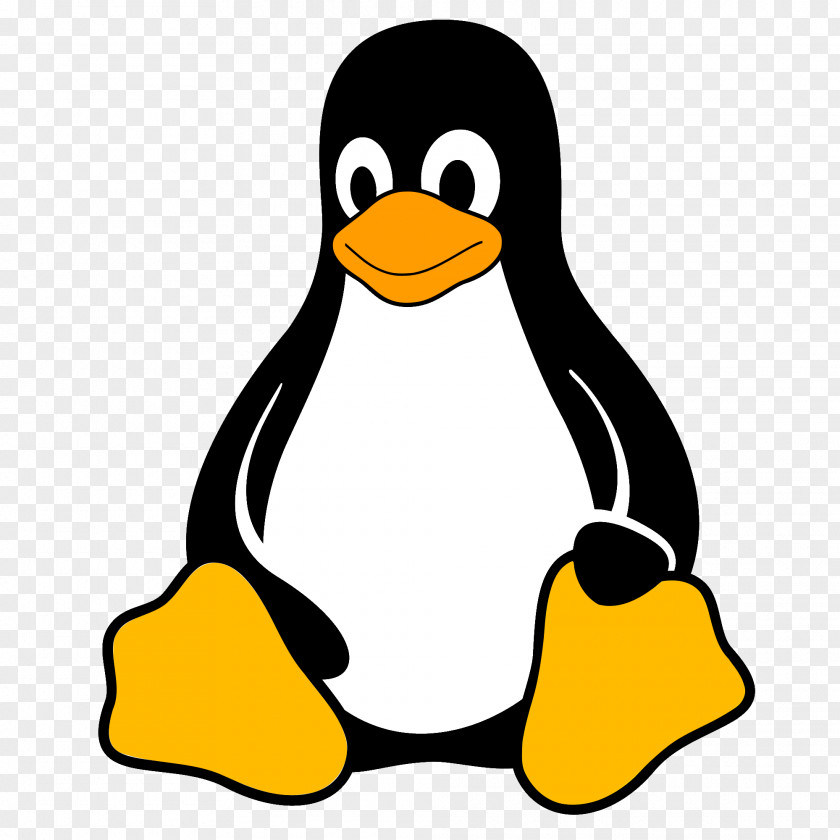 Emperor Penguin Yellow Cartoon Bird PNG