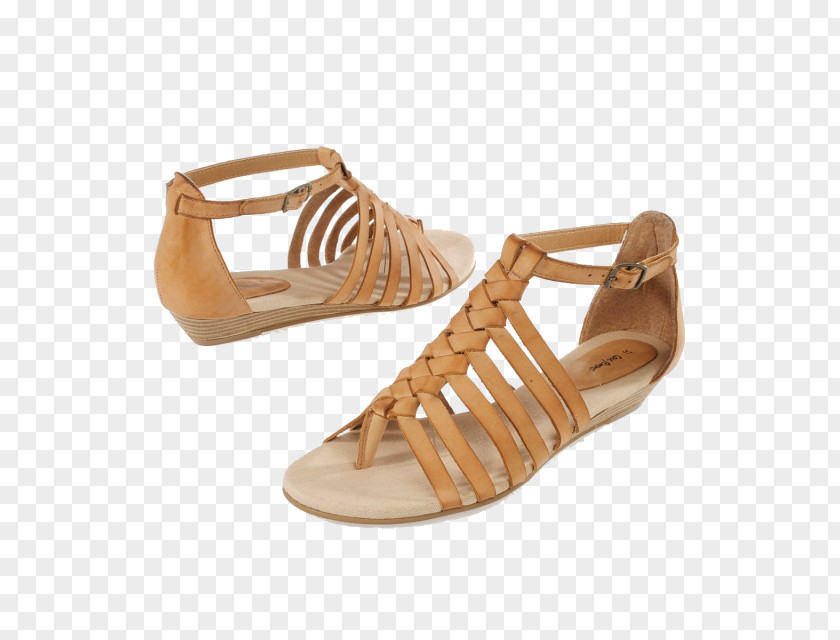 Moda Sandal Shoe Footwear Fashion Clothing PNG