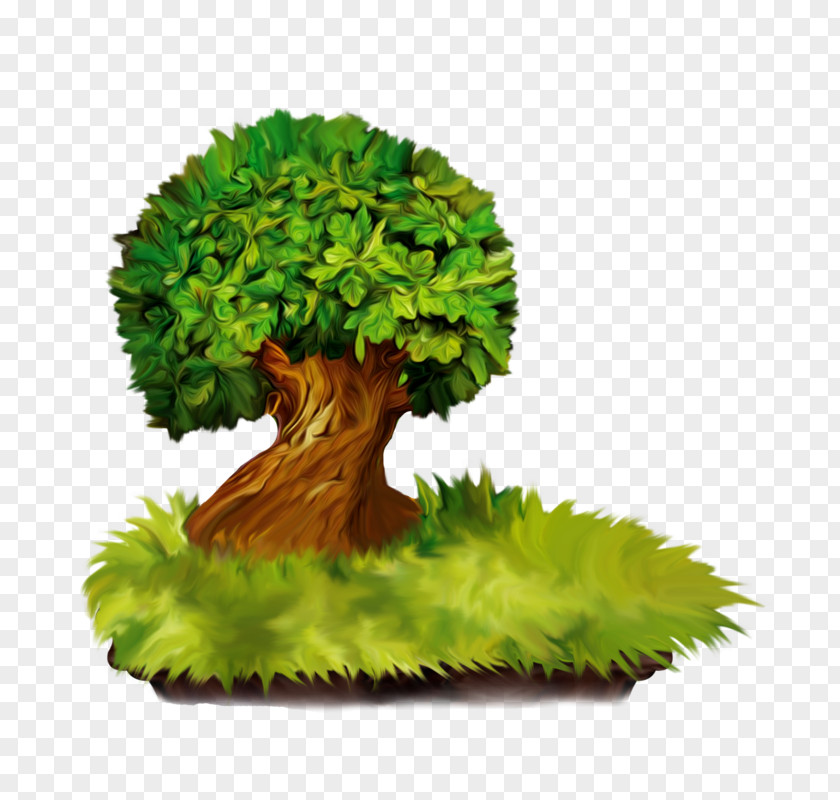 Tube Tree Lindens Plant PNG