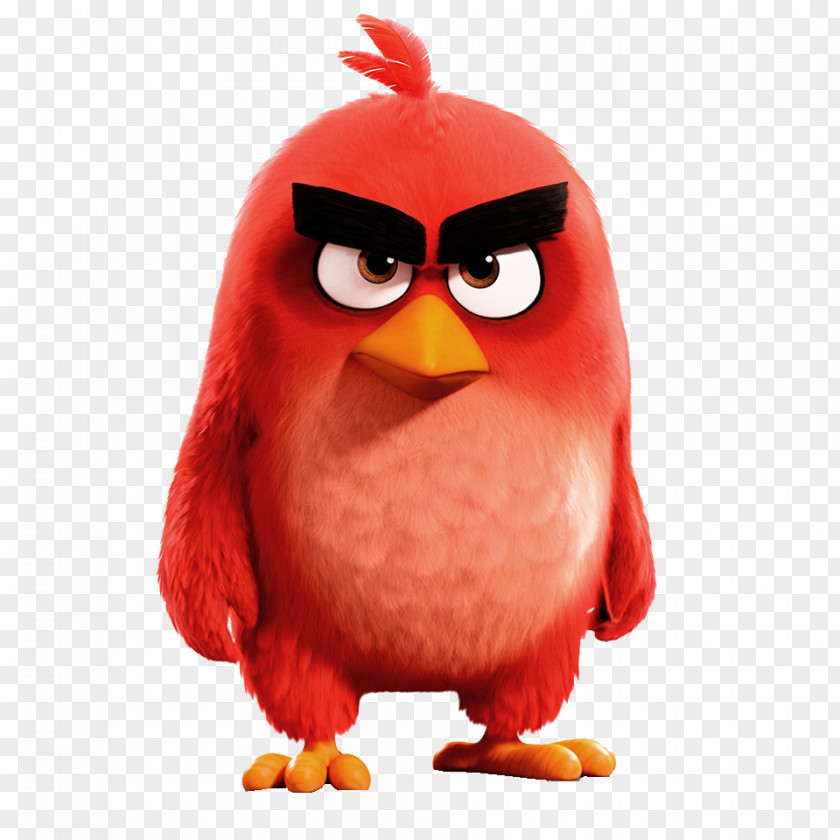 Angry Birds POP! Macy's Thanksgiving Day Parade Film YouTube PNG