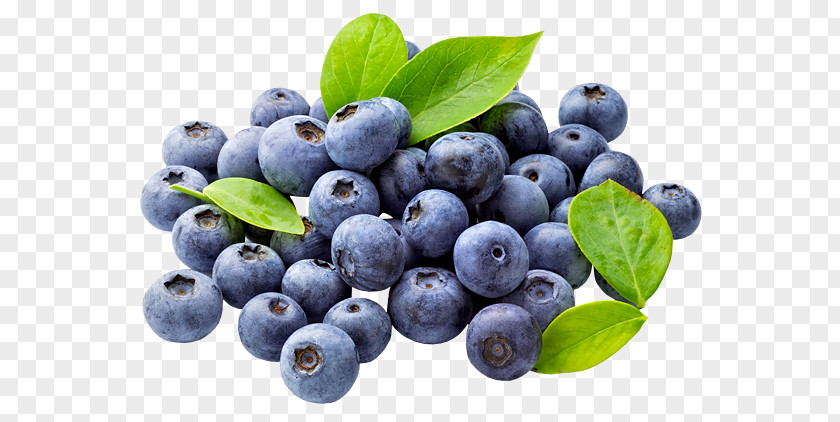 Blueberry Fruit Food Saturated Fat PNG