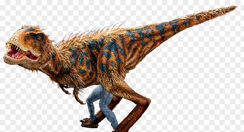 Dinosaur Tyrannosaurus Velociraptor Deinonychus Pictures PNG
