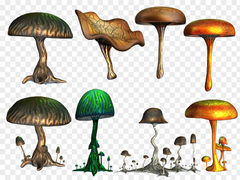 Hand Drawn Mushrooms Pull Material Free Psilocybin Mushroom Fungus PNG