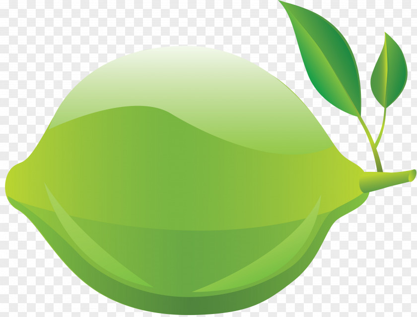 Lime Clip Art Transparency Desktop Wallpaper PNG