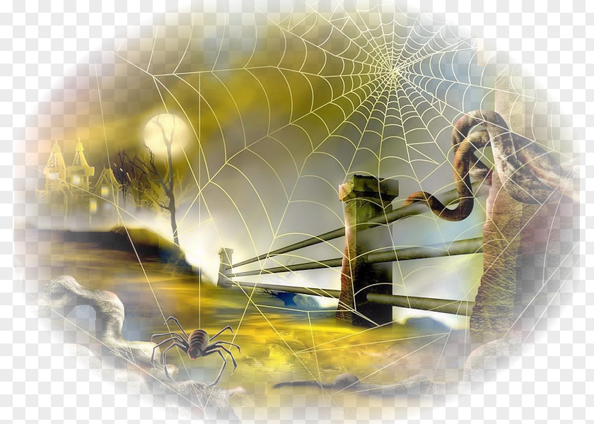 Sfondi Spider Web Halloween Desktop Wallpaper PNG