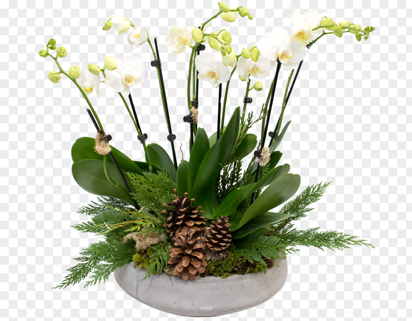Twenty-four Solar Terms Floral Design Cut Flowers Moth Orchids PNG