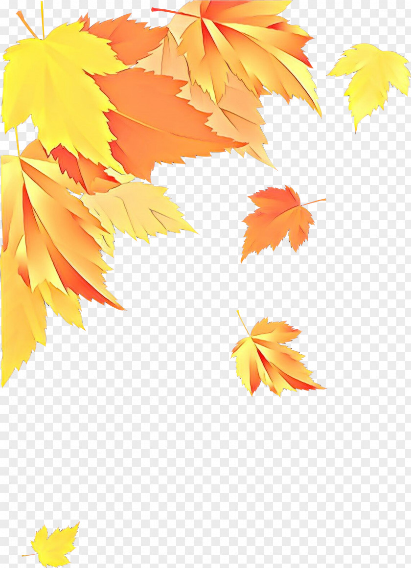 Autumn Black Maple Leaf PNG