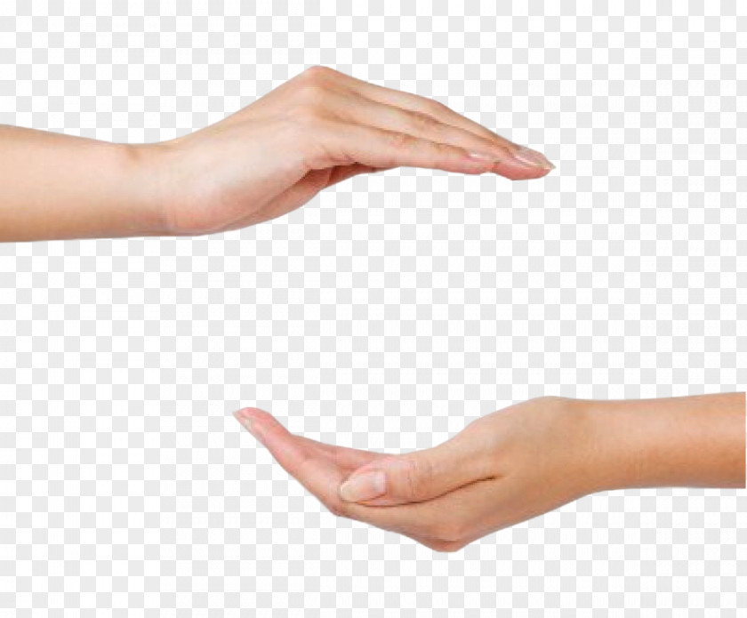 Hands Hand Stock Photography PNG