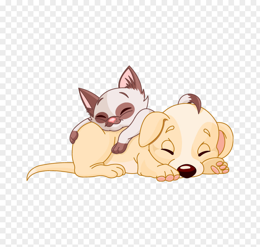 Kitten Dog Puppy Thanksgiving Siamese Cat PNG
