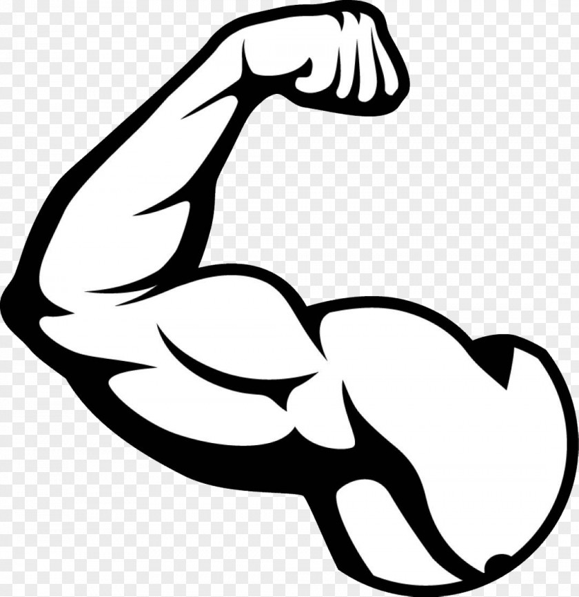 Muscle Biceps Arm PNG
