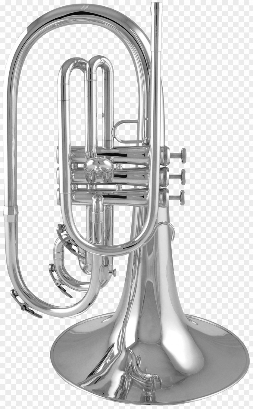 Musical Instruments Saxhorn Mellophone Cornet Euphonium French Horns PNG