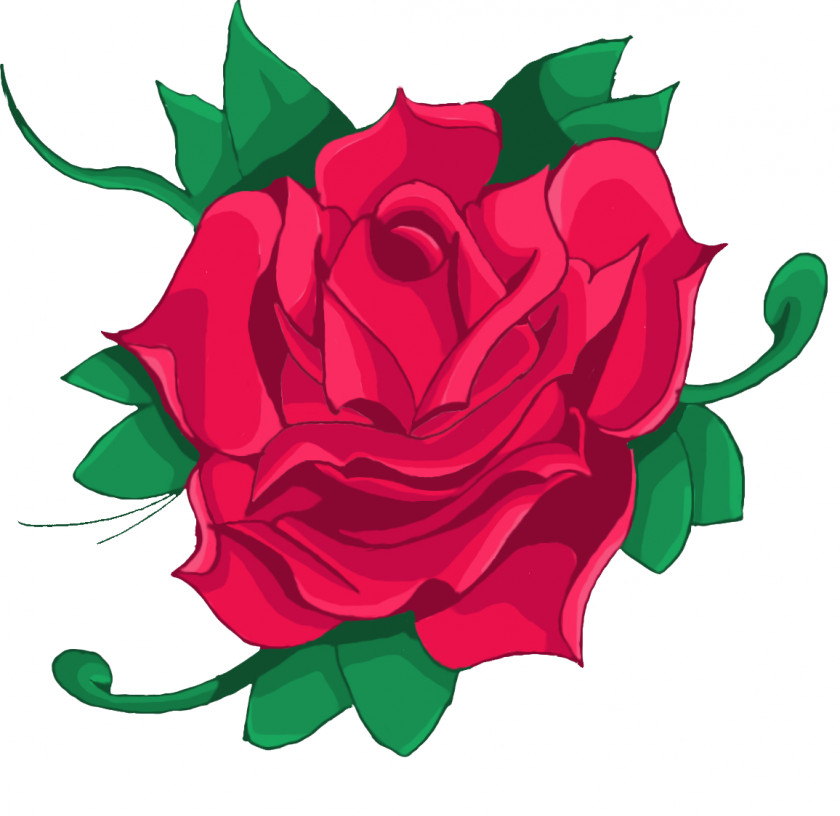 VETORES Pink Rose Red Drawing Green PNG