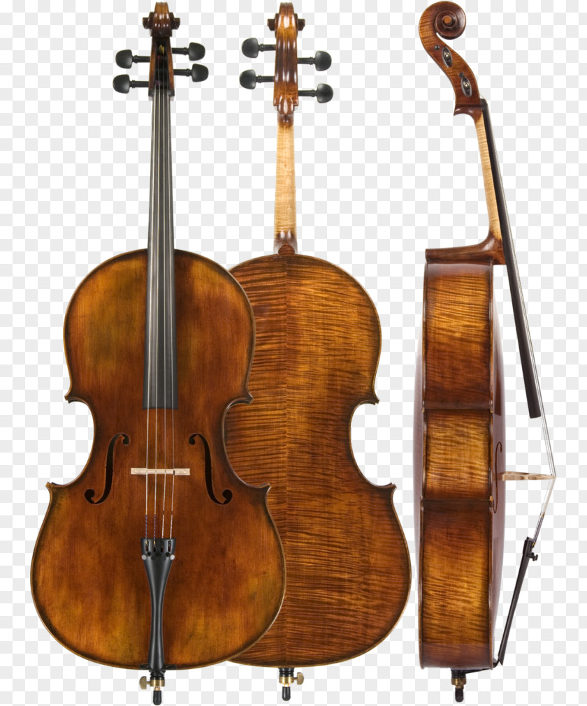 Violin Amati Double Bass Cello Musical Instruments PNG