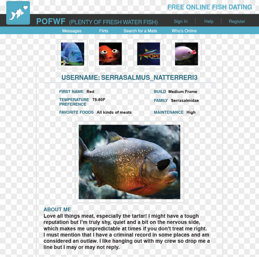 Fish Dish Ecosystem Web Page Fauna Marine Biology Red-bellied Piranha PNG