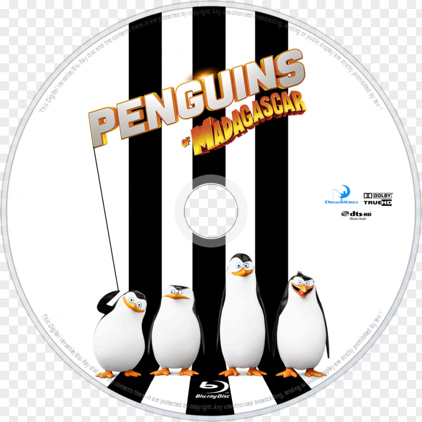 Madagascar Penguins Skipper Film Screenwriter DreamWorks Animation PNG