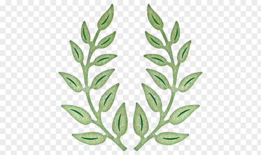 Olive Branch Paper Cheery Lynn Designs PNG