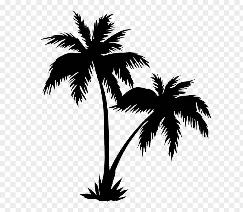 Palm Tree Silhouette Royalty-free Arecaceae Drawing PNG