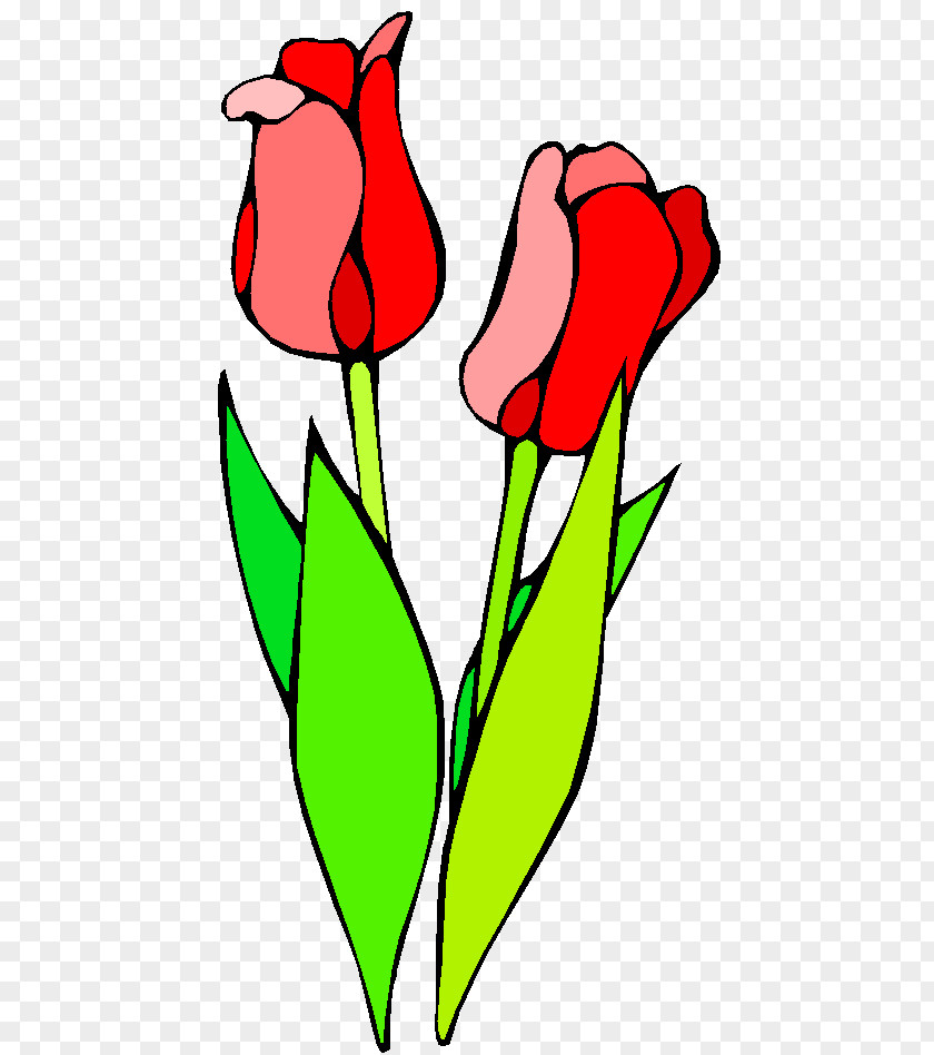 Pressed Flower Clip Art Floral Design Vector Graphics Tulip PNG
