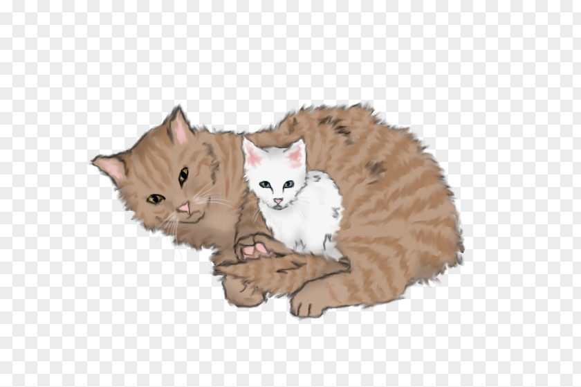 Kitten Domestic Short-haired Cat Warriors Speckletail PNG