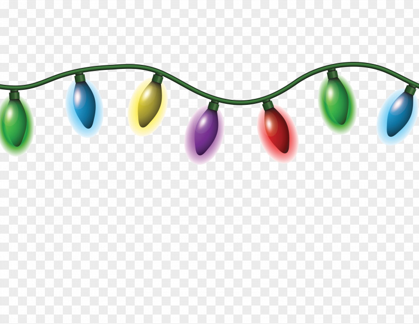 Plant Eyewear Christmas Lights Cartoon PNG