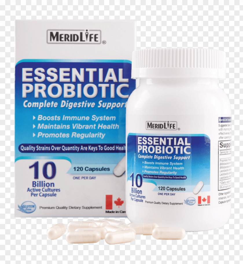 Probiotics Dietary Supplement Drug PNG