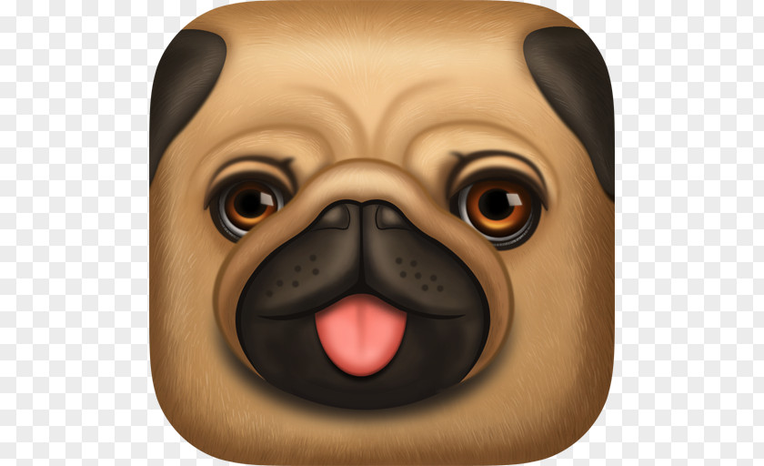 Puppy Pug Dog Breed Toy PNG