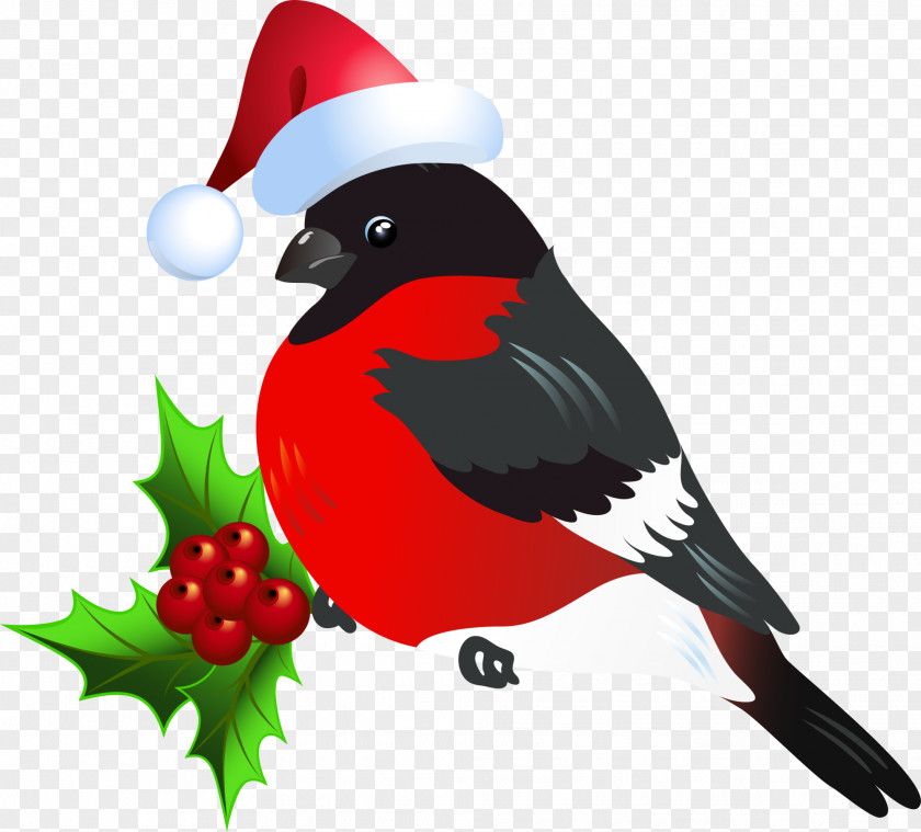 Red Christmas Bird PNG
