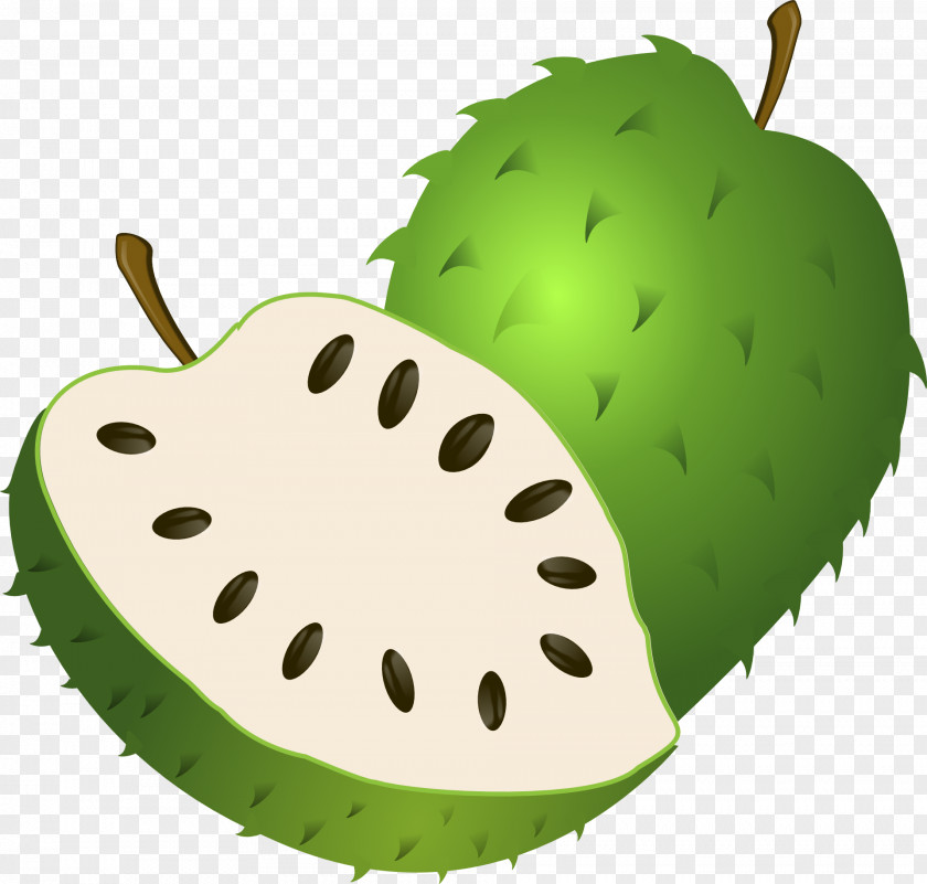 Soursop Fruit Colombian Cuisine Clip Art PNG