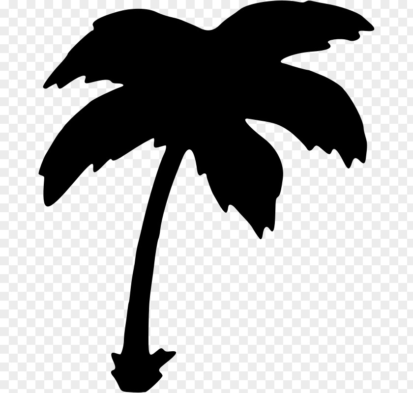 Tree Arecaceae Clip Art PNG