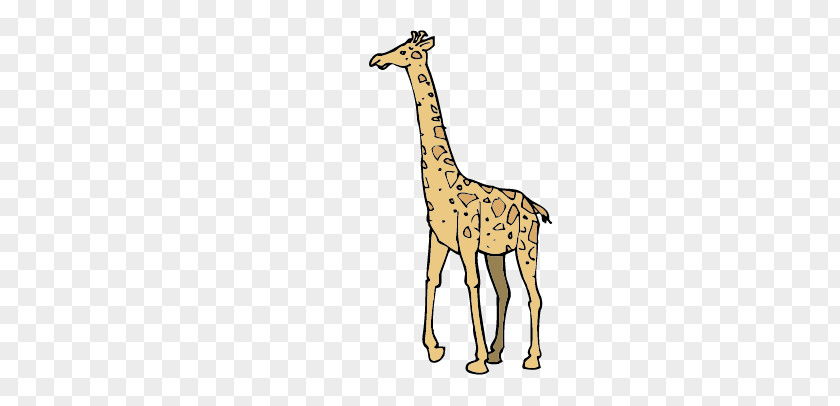 Giraffe Fauna Wildlife Pattern PNG