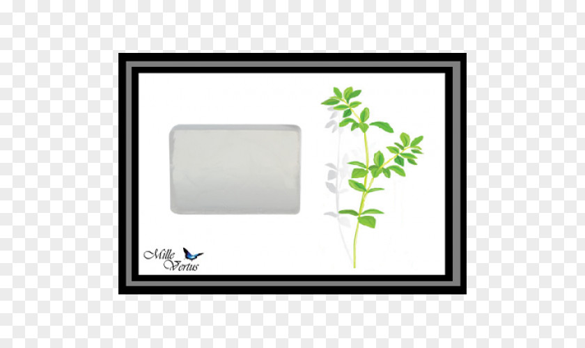 Glycerin Soap Leaf Picture Frames Rectangle Tree PNG