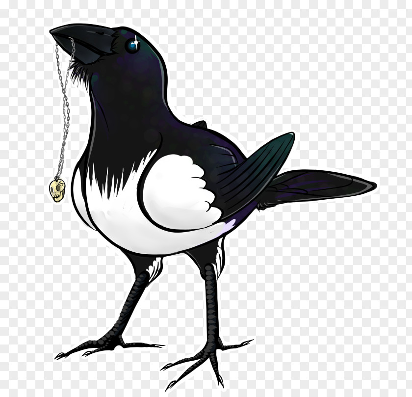 MAgpie Eurasian Magpie Black-billed Bird Art PNG