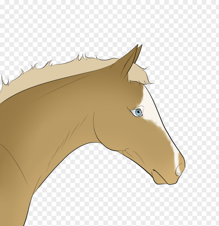 Mustang Snout Freikörperkultur Clip Art PNG