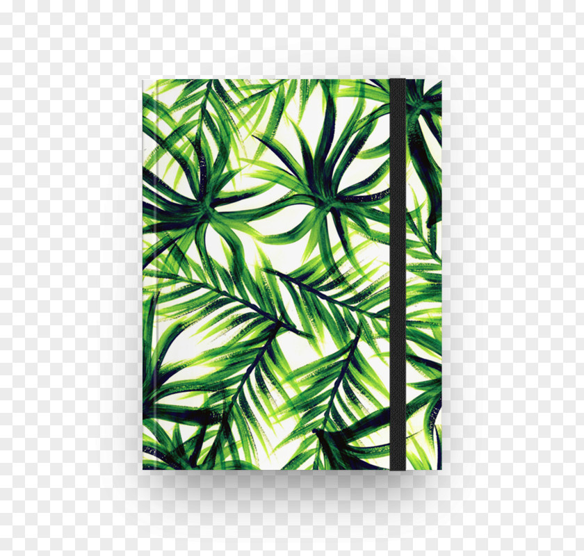 Posters Decorative Palm Leaves T-shirt Paper Art Cushion Throw Pillows PNG