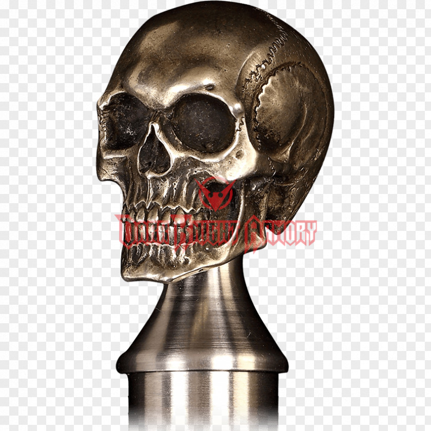 Skull Human Skeleton Bone Jaw PNG