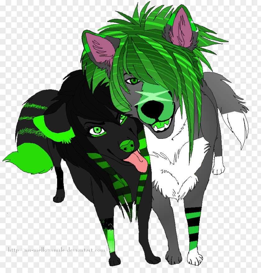 Cat Sibling Brother Sister Canidae PNG