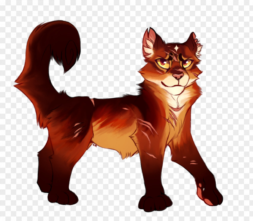 Dog Whiskers Red Fox Cat Illustration PNG