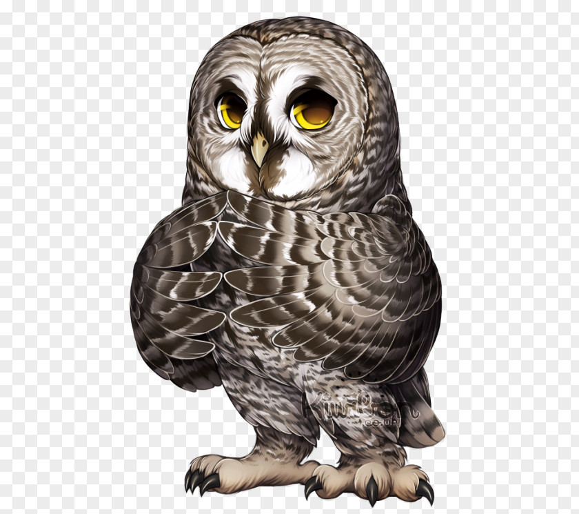 J Rock Mr448 Great Horned Owl Bird Of Prey Snowy PNG