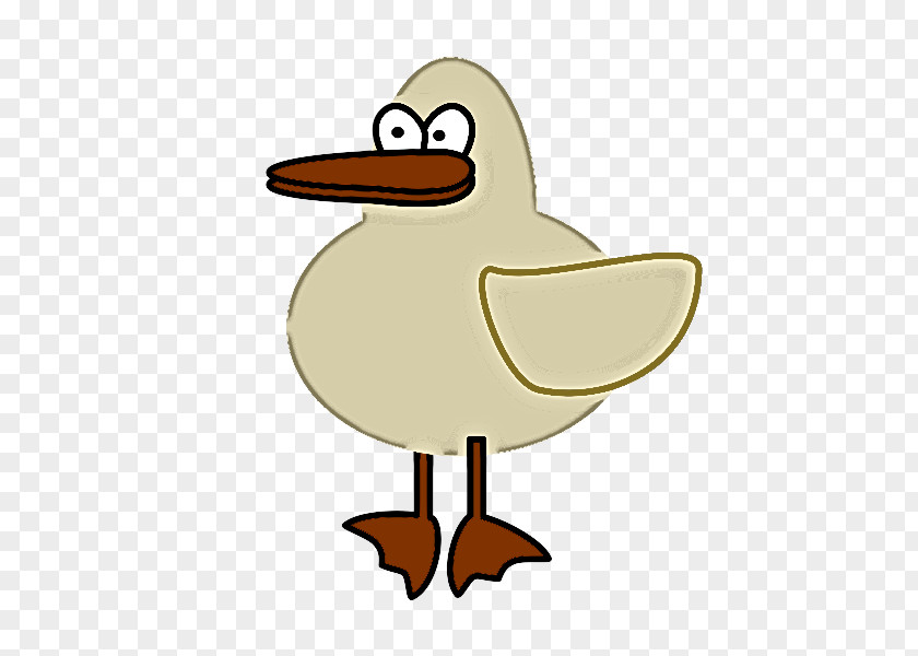 Bird Duck Cartoon Water Beak PNG