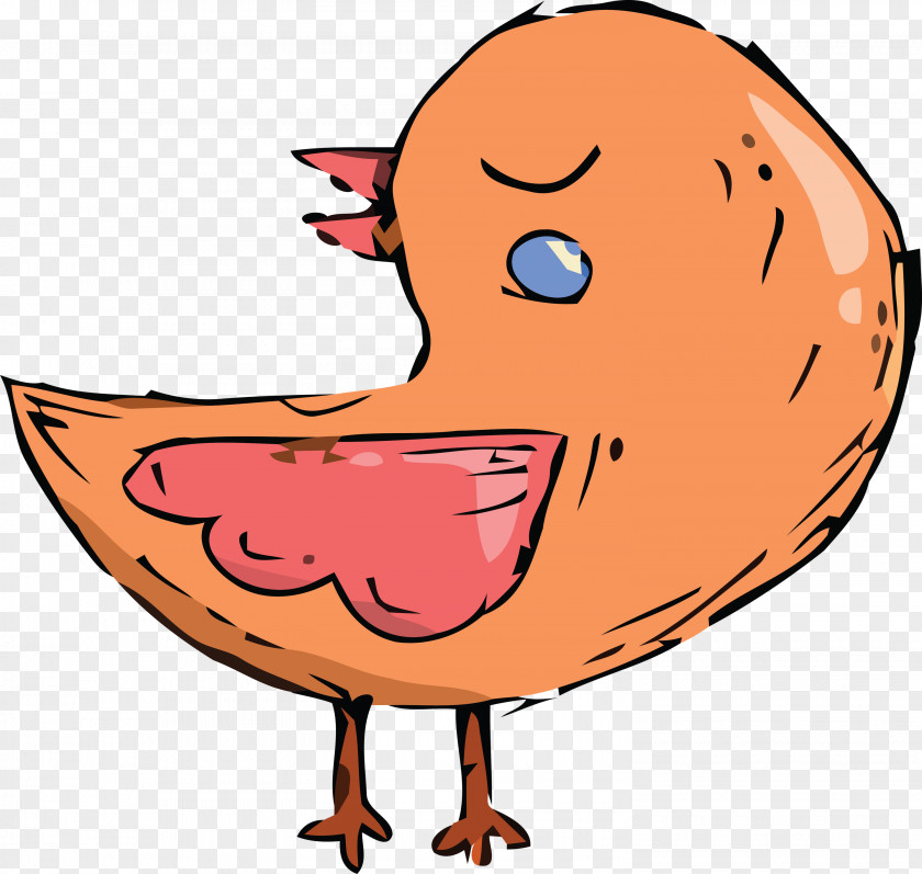 Birds Ducks Chicken Water Bird Beak PNG