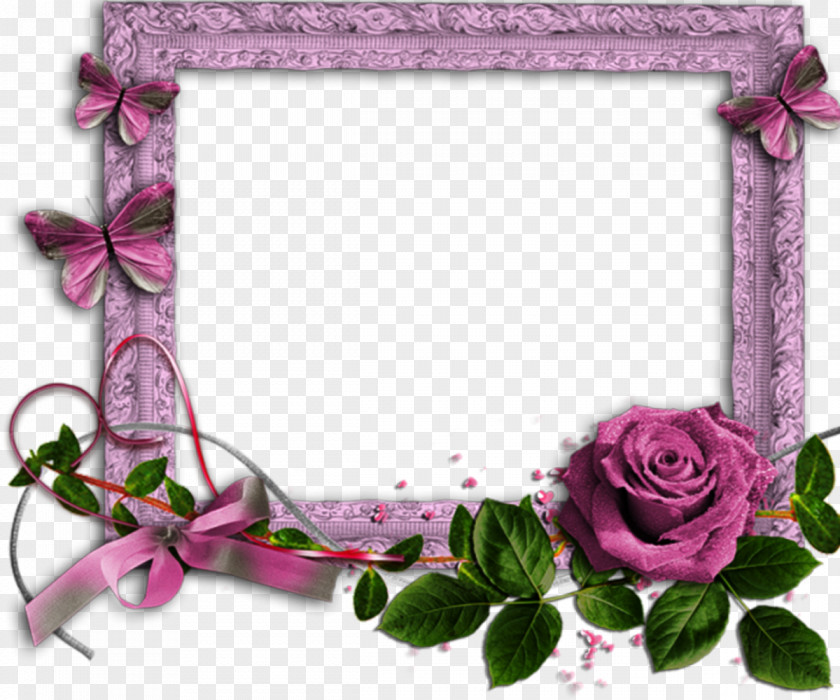 Rose Picture Frames Desktop Wallpaper Clip Art PNG