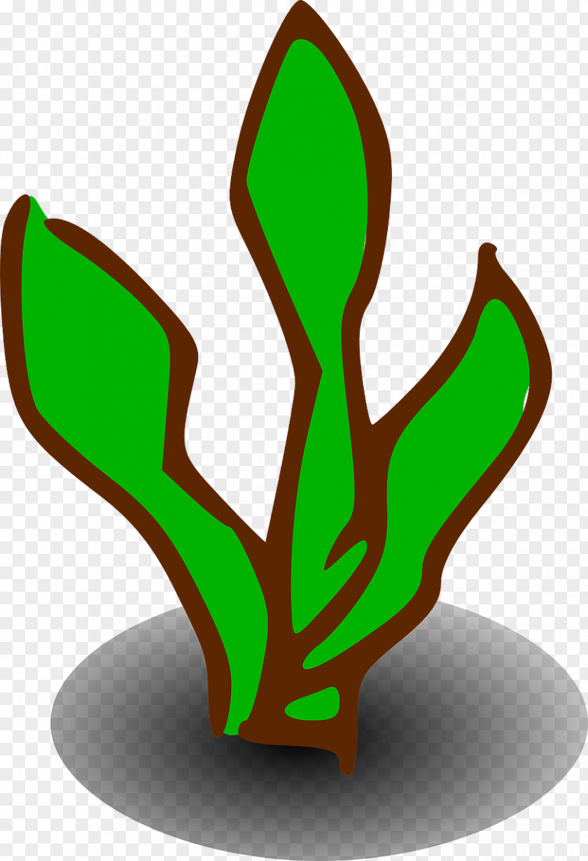 Sea Plants Art Clip PNG