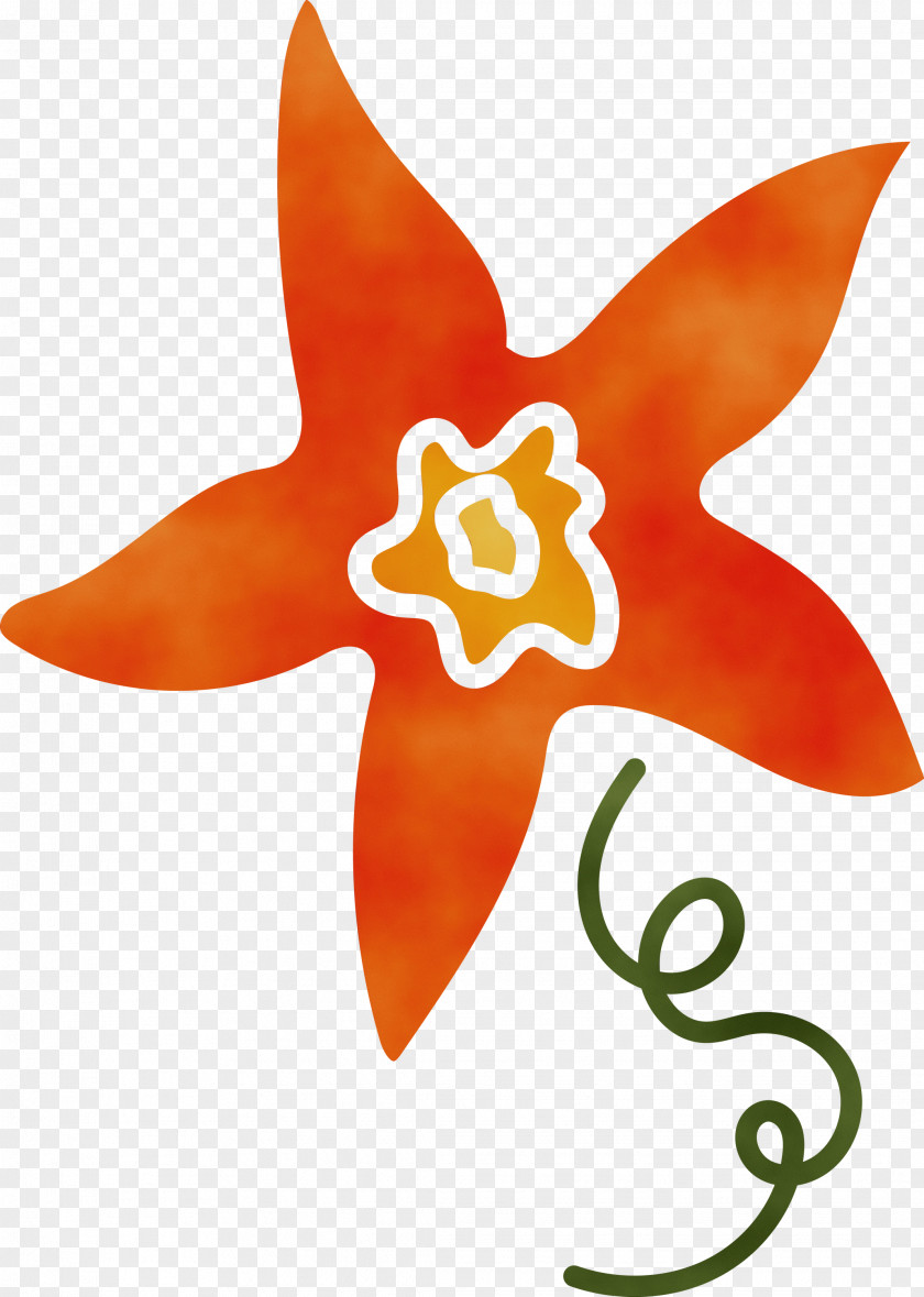 Symbol Orange S.a. Starfish PNG