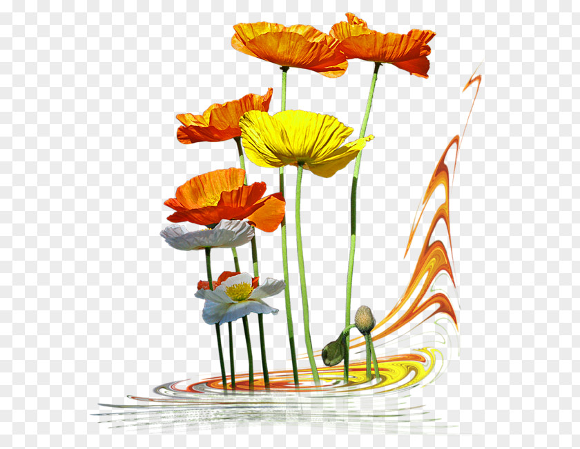 Ton Floral Design Cut Flowers Flowerpot Plant Stem PNG