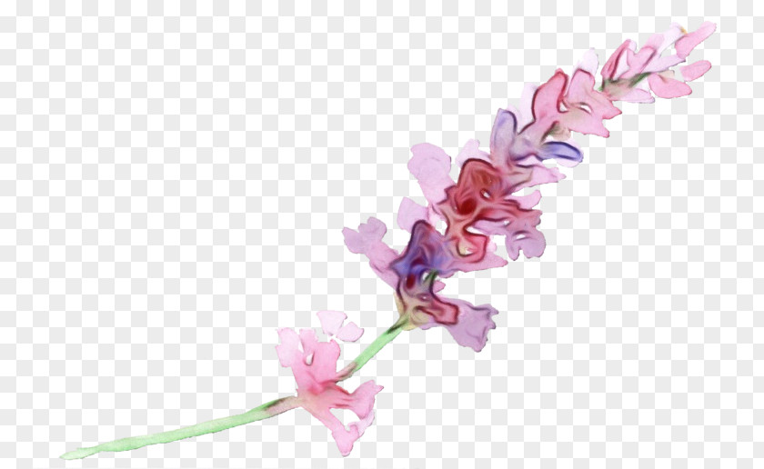 Cut Flowers Plant Stem Petal Flower Pink M PNG