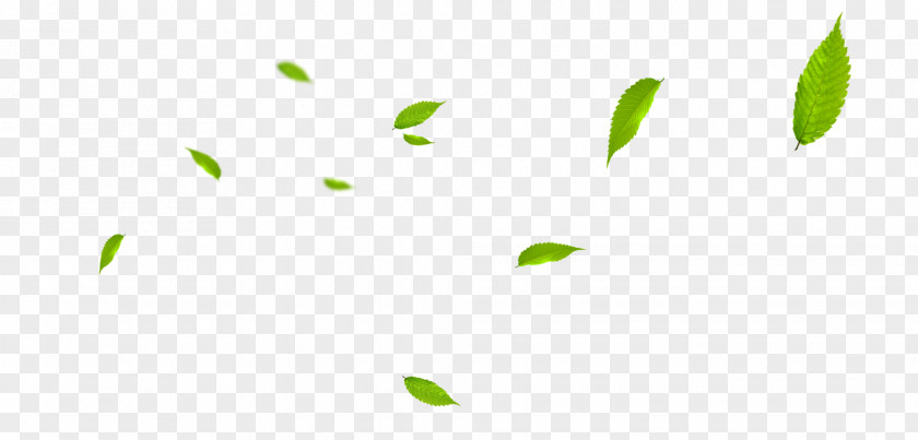 Floating Leaves Green Pattern PNG
