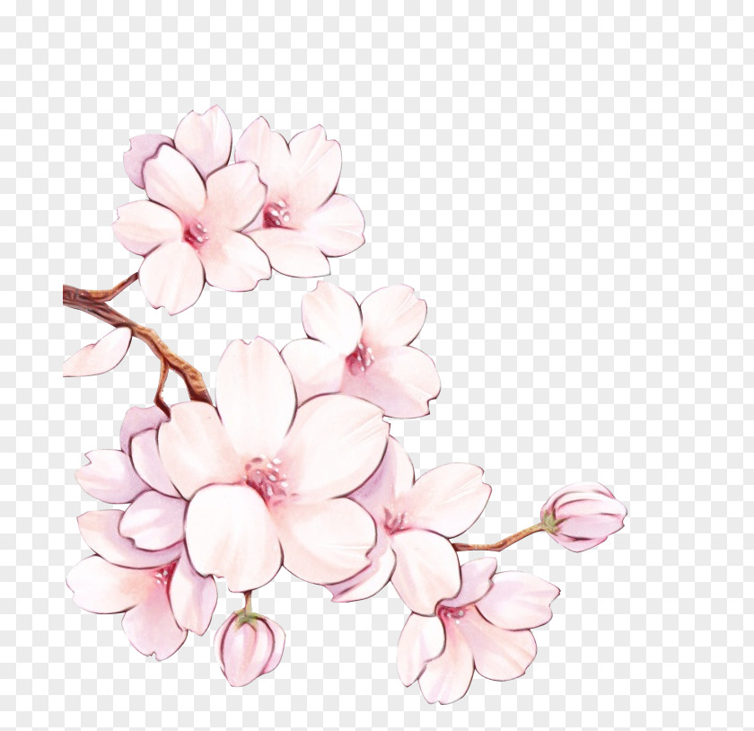 Hydrangea Geranium Watercolor Pink Flowers PNG