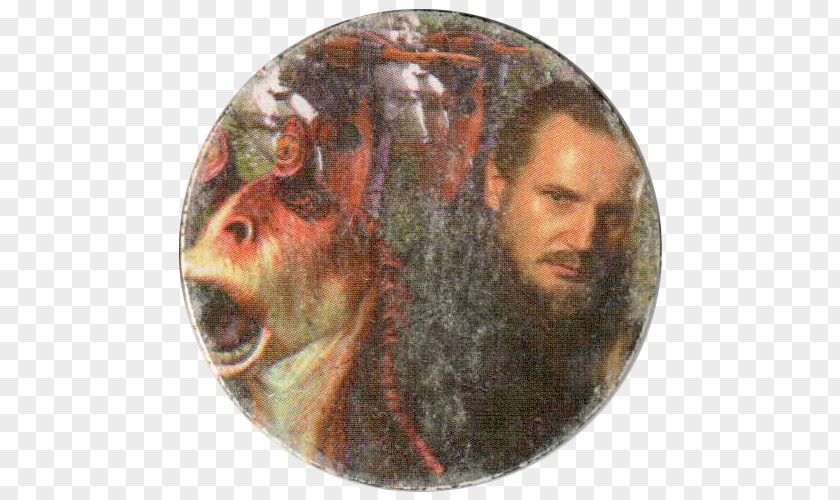 Qui Gon Jinn Mammal Facial Hair Jar Binks Snout PNG