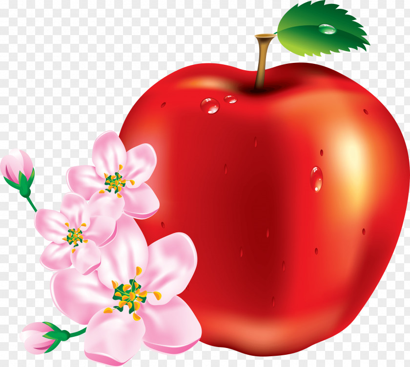 Red Apple Image Fruit Clip Art PNG
