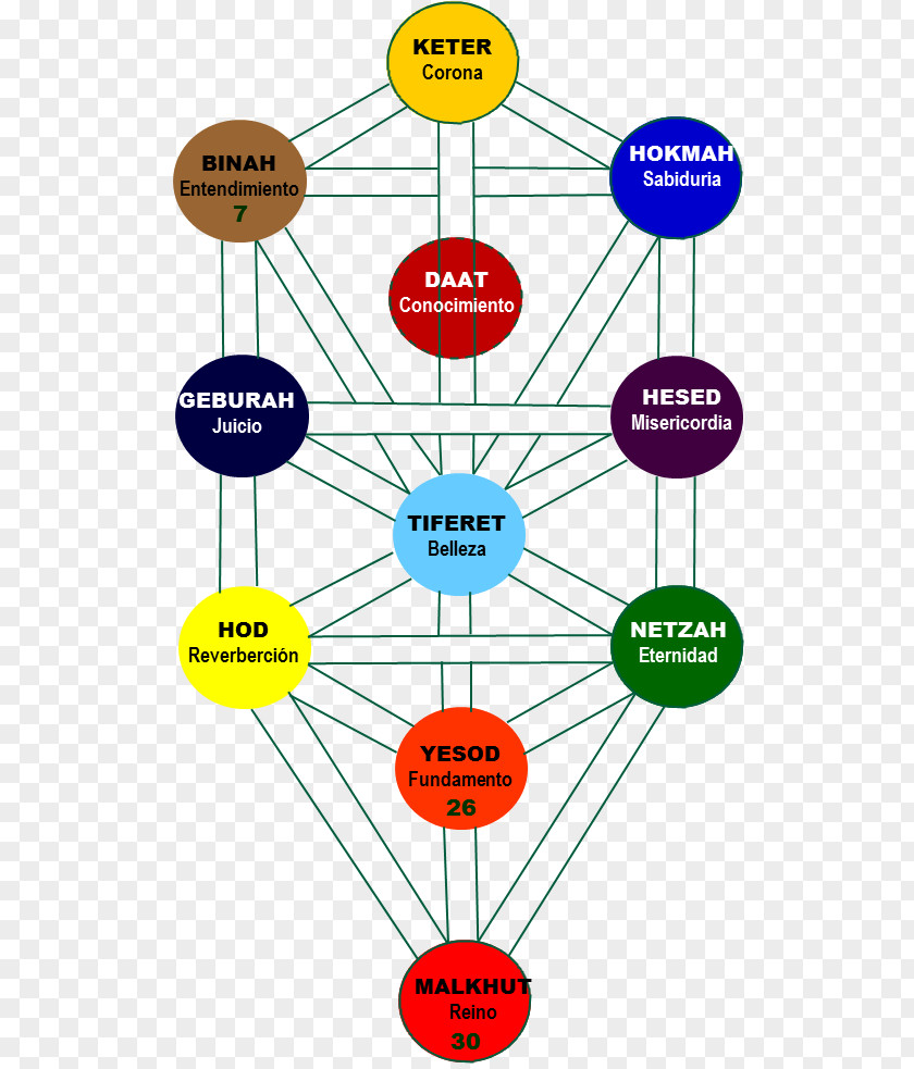Technology Diagram Tree Of Life Human Behavior Point PNG